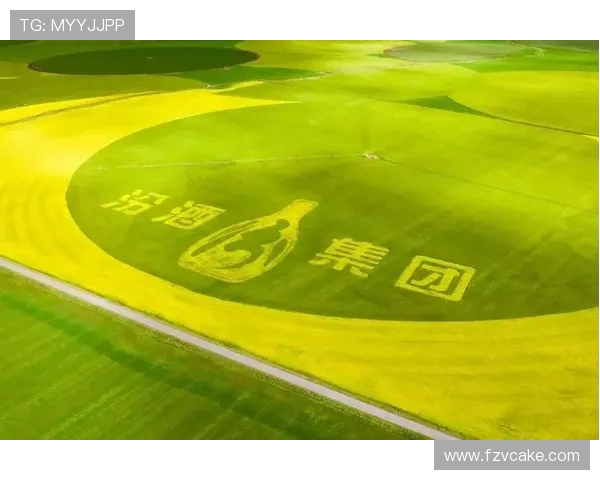 山西汾酒股份与竞争对手的较量探析：市场策略与品牌塑造的双重挑战