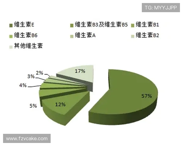 广州篮球队球员个人能力分析与表现评估研究报告