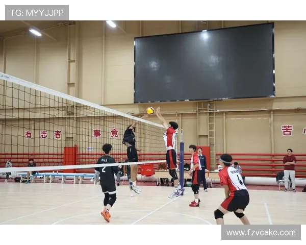 成都排球队技术探讨：聚焦排球战术与训练方法的创新与发展