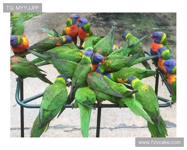 李磊的攀岩人生：探索高峰背后的深度对话与心灵旅程