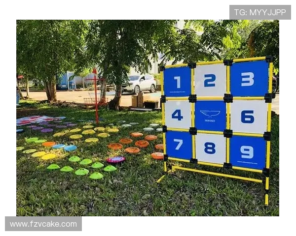 武汉飞盘队灵活性分析与战术创新的深度探讨 武汉飞盘队灵活性分析与战术创新的深度探讨