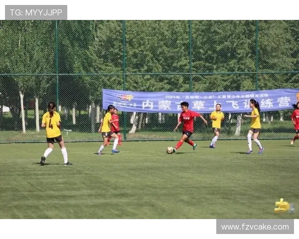 足球评论：重庆足球队的区域防守得失